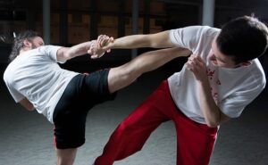 Read more about the article Martial arts training