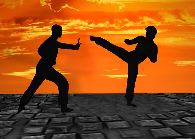 Read more about the article Tournaments involving martial arts